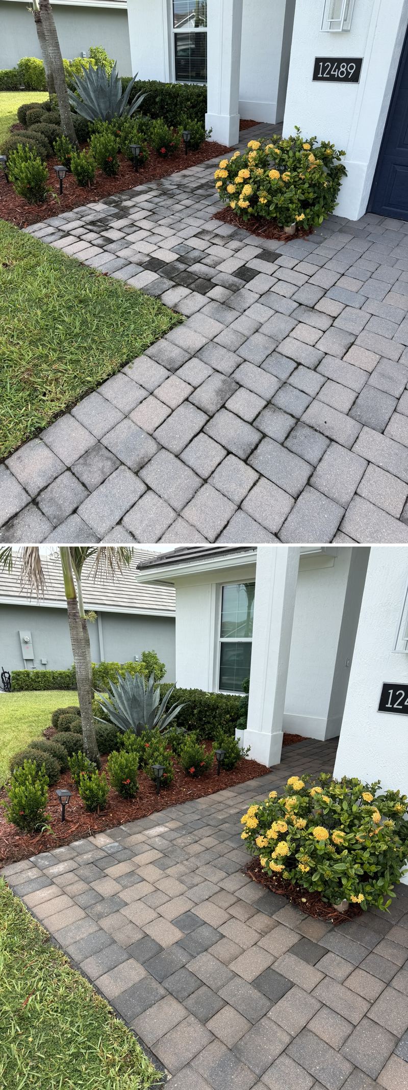 Paver walkway cleaning before and after in Vero Beach, FL