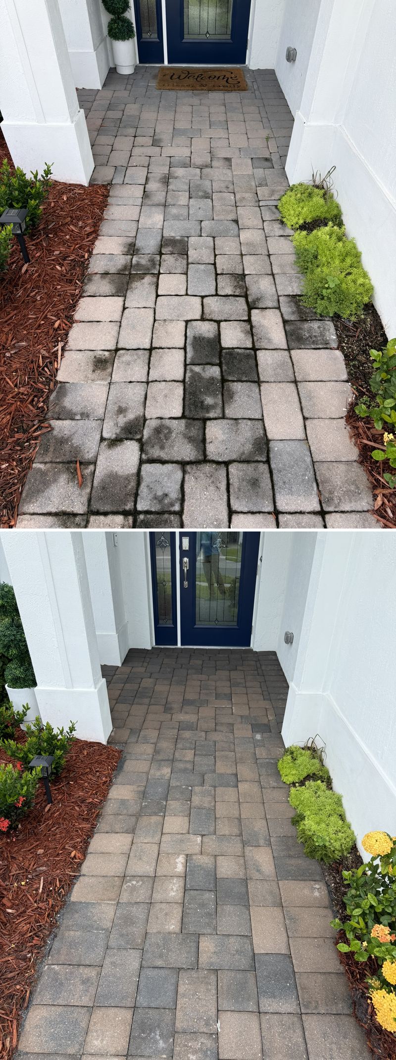 Paver walkway cleaning before and after in Vero Beach, FL